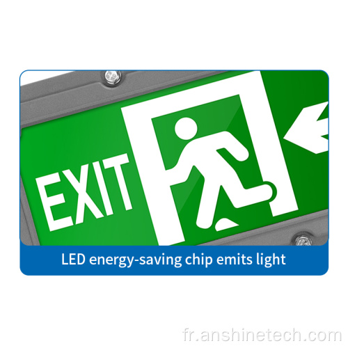 Panneau lumineux LED étanche IP 54 pour sortie de secours